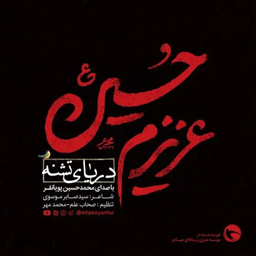 کاور نماهنگ پروانه های پر شکسته - محمدحسین پویانفر