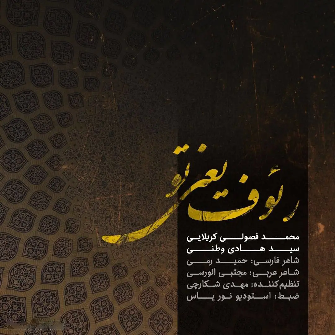 کاور نماهنگ رئوف یعنی تو - محمد فصولی