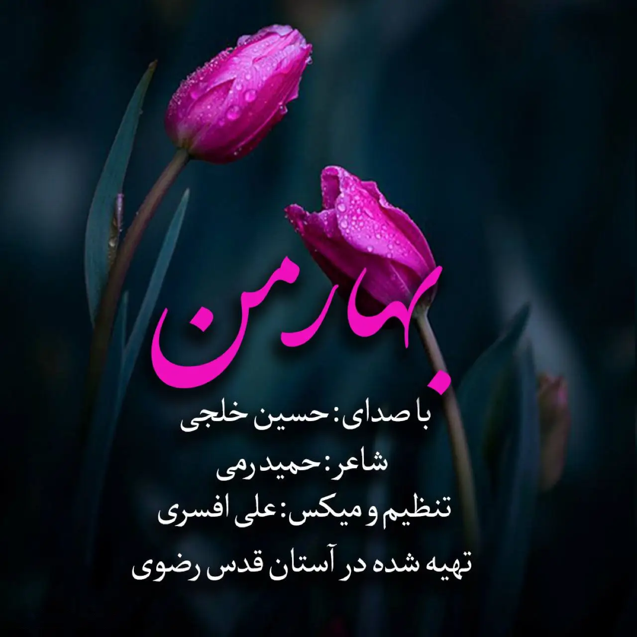 کاور نماهنگ بهار من - حسین خلجی