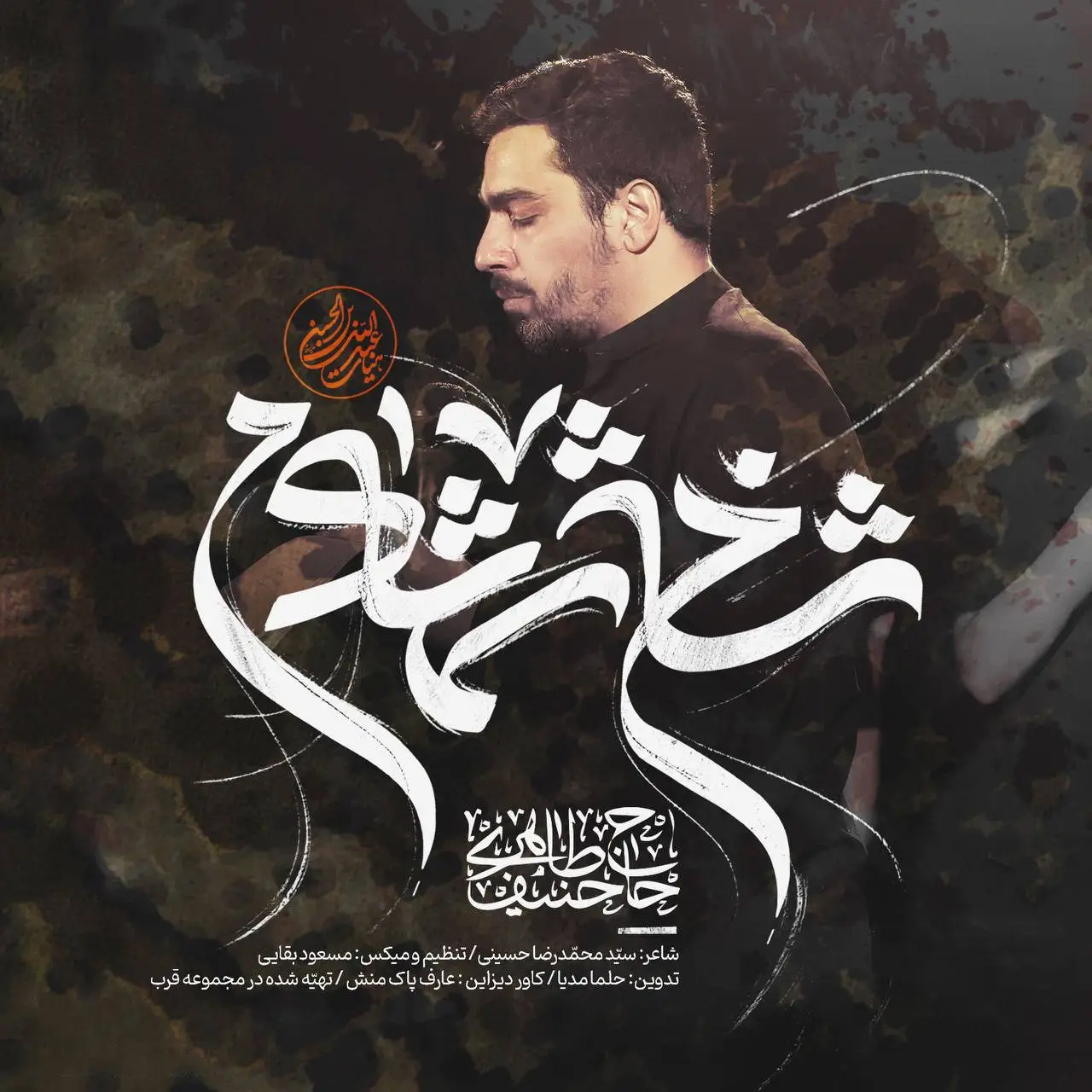 Cover: Music Video Cypress Branch - Hanif taheri