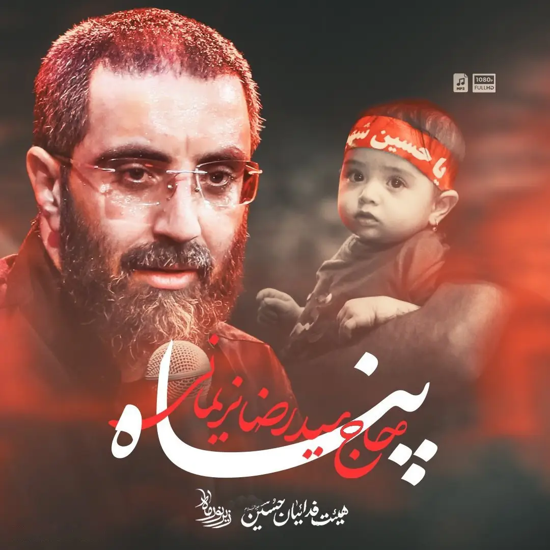 Cover: Shelter Music Video - Seyed reza narimani