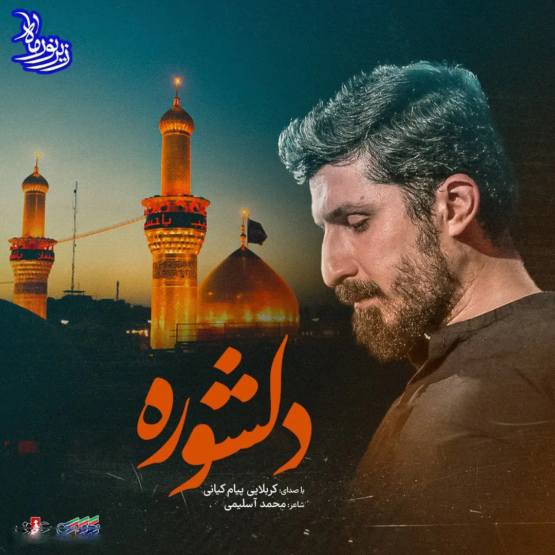 کاور نماهنگ دلشوره - پیام کیانی