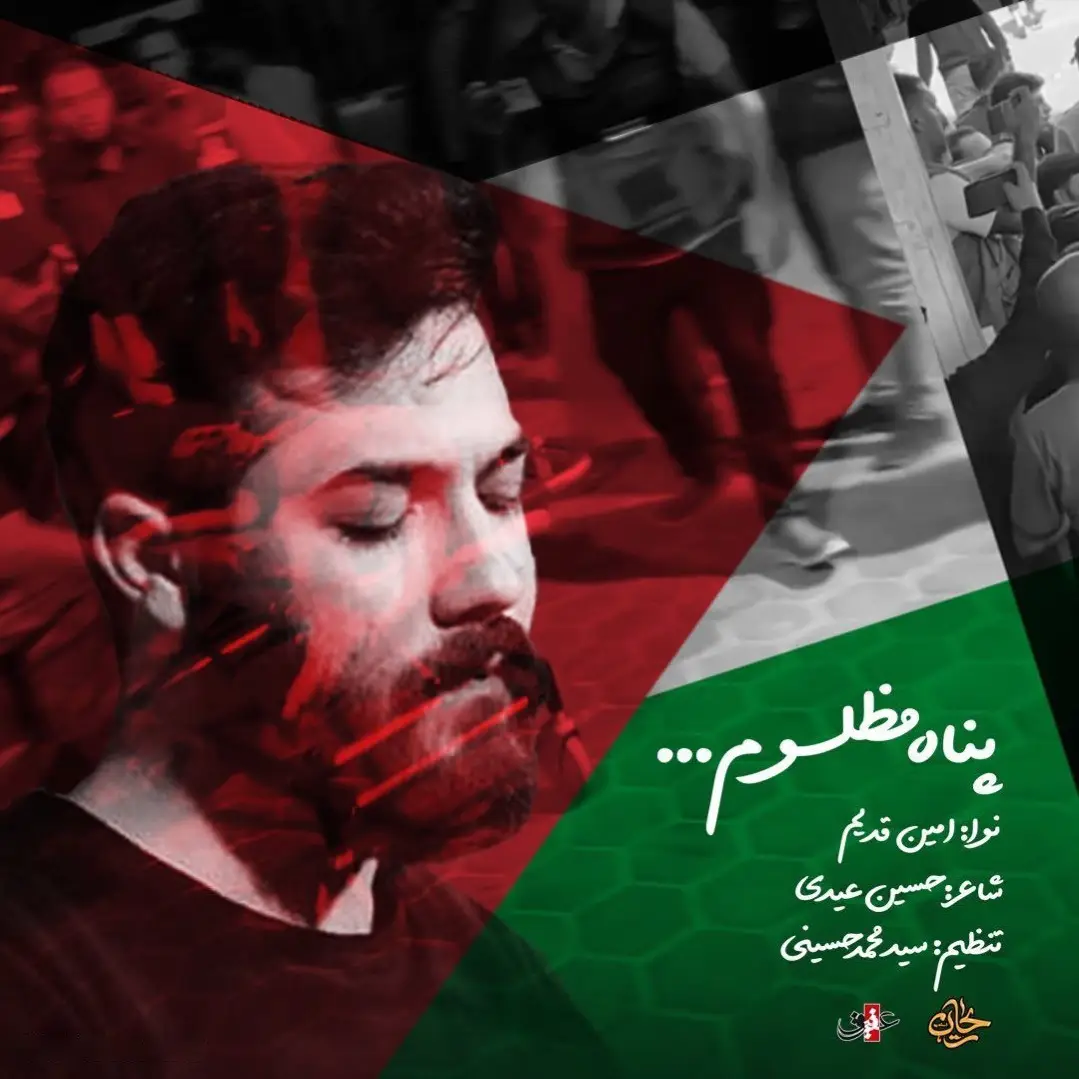 کاور نماهنگ پناه مظلوم - امین قدیم