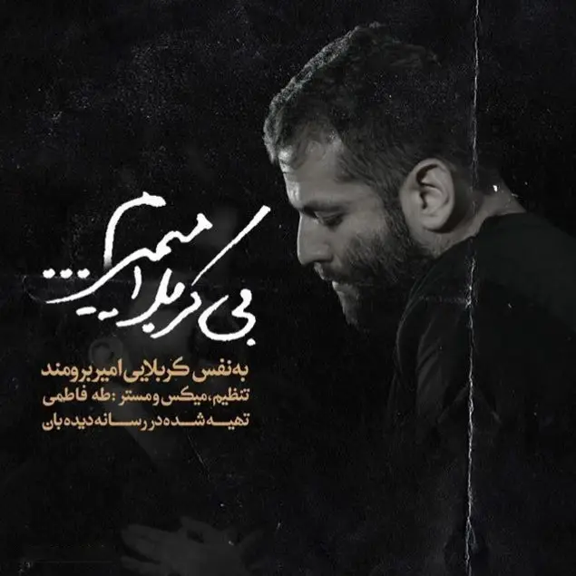 Cover: Music Video I Die Without Karbala - Amir borumand