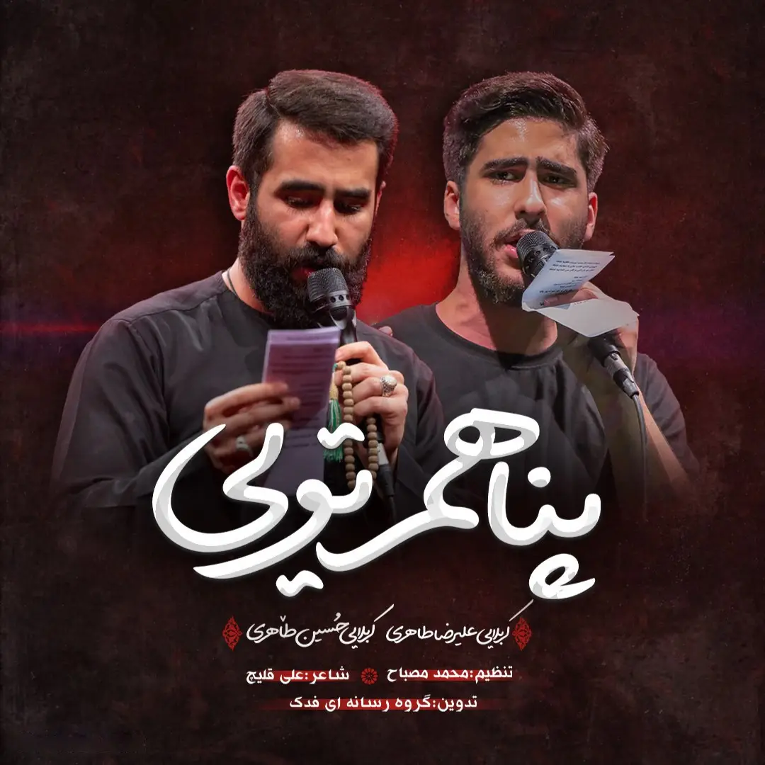 Cover: Music Video You Are My Refuge - Hosein taheri, Alireza taheri