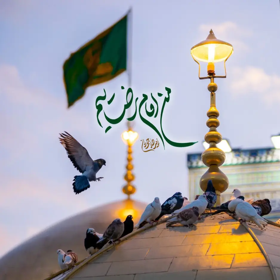 کاور نماهنگ من امام رضاییم - امیر طلاجوران