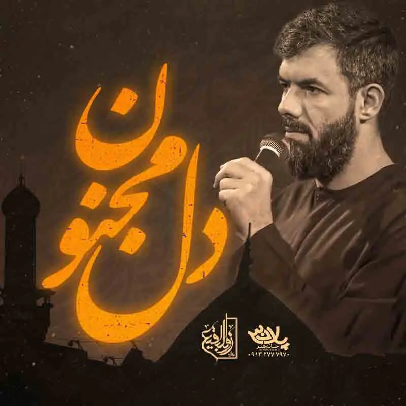کاور نماهنگ دل مجنون - حسین ستوده