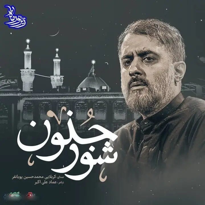 کاور نماهنگ شور جنون - محمدحسین پویانفر