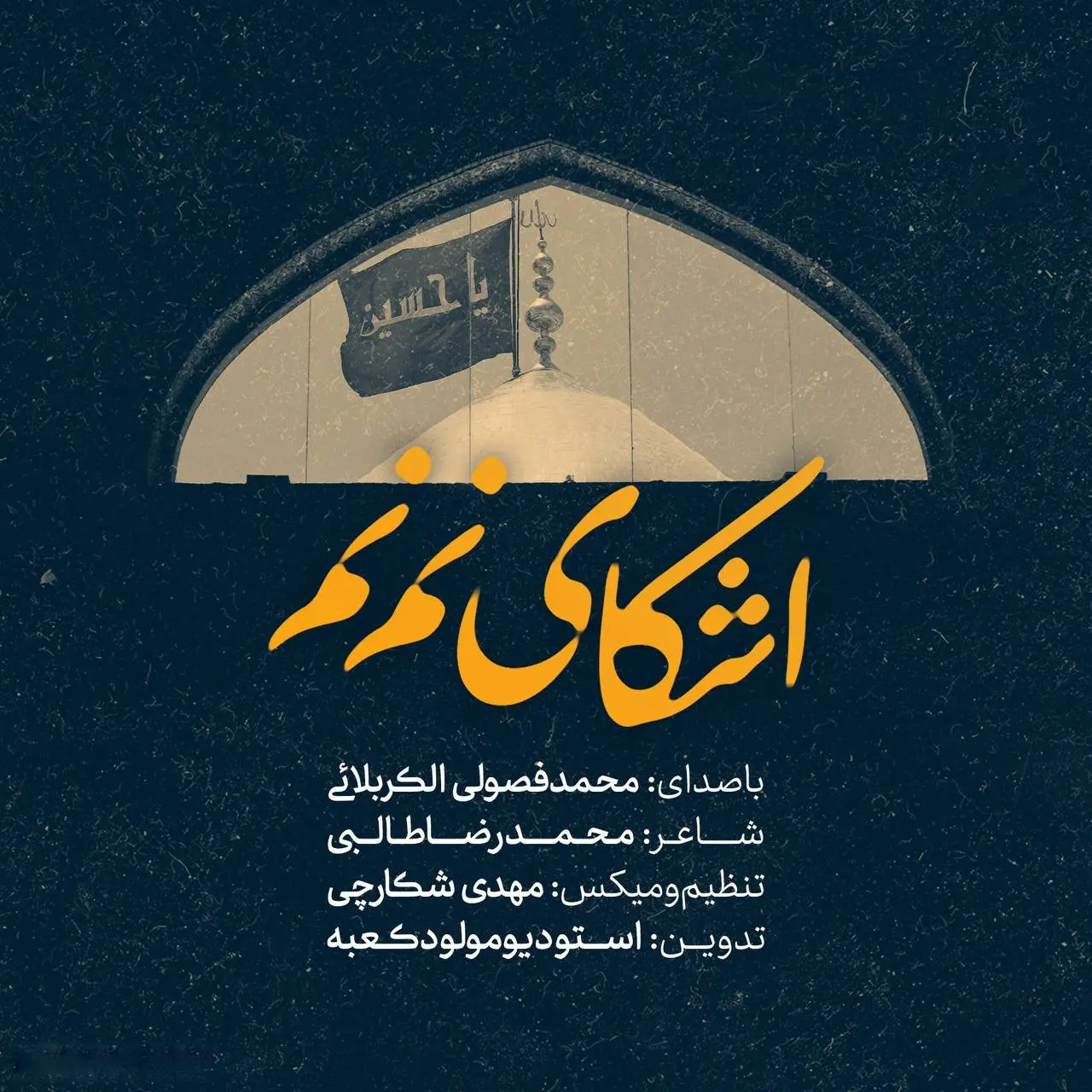 کاور نماهنگ اشکای نم‌نم - محمد فصولی
