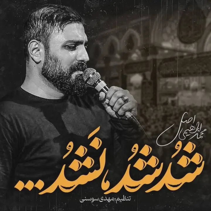 Cover: Music Video If It Works Out, Fine; If Not - Mohamad ebrahimi asl