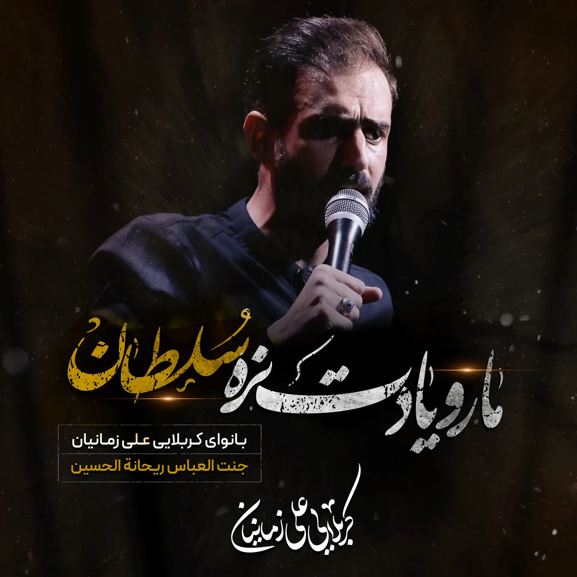 کاور نماهنگ ما رو یادت نره سلطان - علی زمانیان