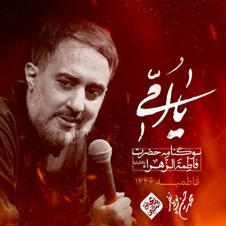 کاور نماهنگ حالا فهمیدی چرا - محمدحسین پویانفر
