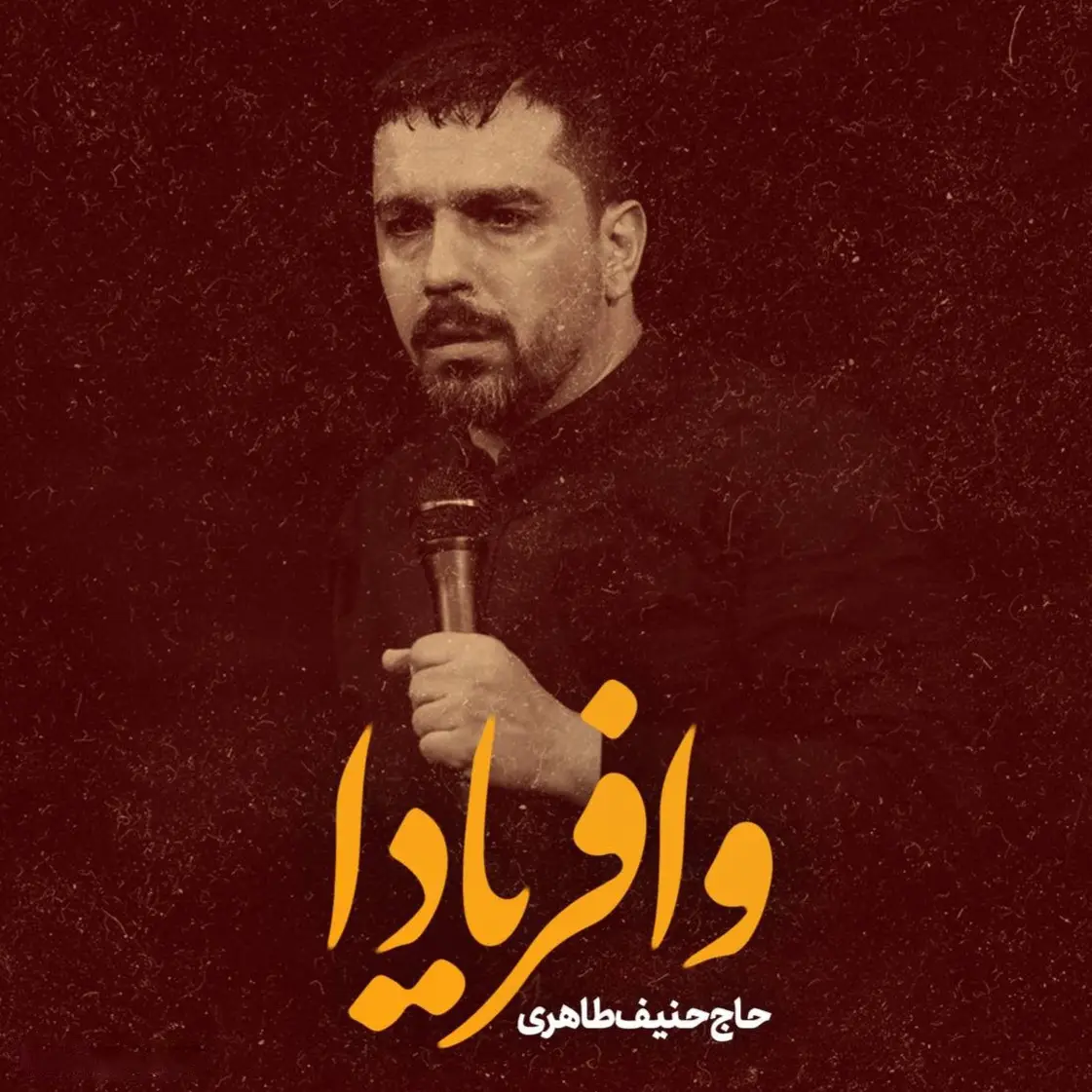 کاور نماهنگ وا فریادا - حنیف طاهری