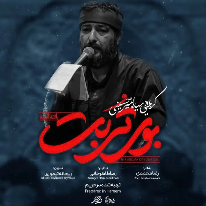 Cover: What Could Be Better - Seyed amir hoseini