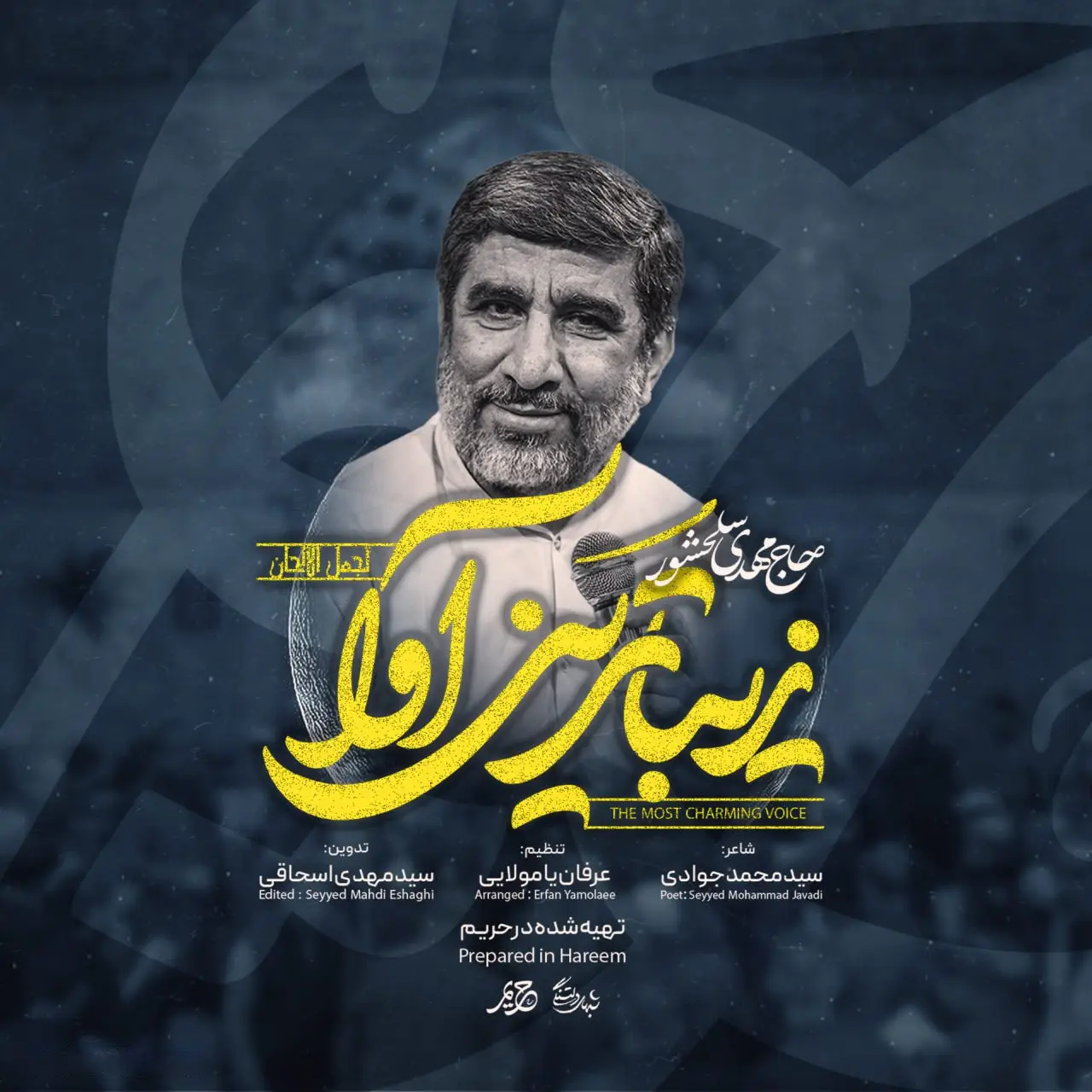کاور نماهنگ زیباترین آوای من - مهدی سلحشور