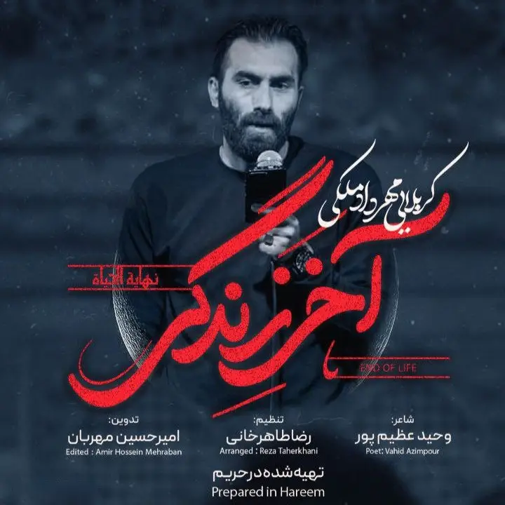Cover: Music Video End of Life - Mehrdad maleki