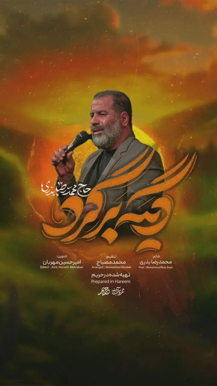 کاور نماهنگ دیگه برگرد - محمدرضا بذری