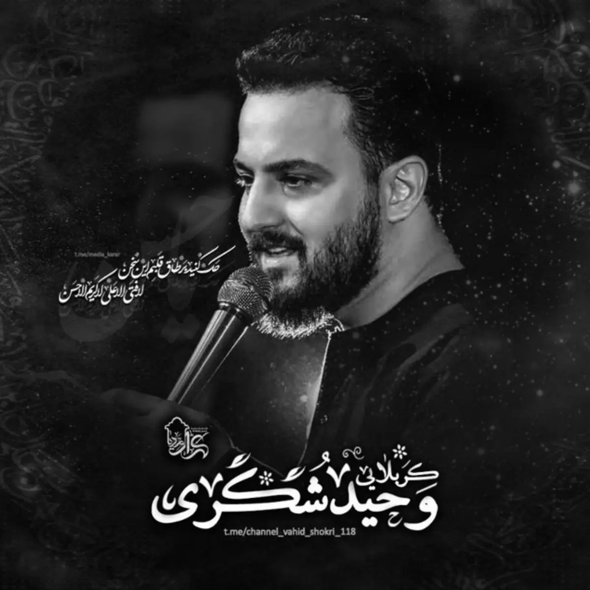کاور نماهنگ دلی که عاشقی نکرده - وحید شکری