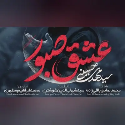 Cover: My Patient Love Music Video - Seyed mahdi hoseini