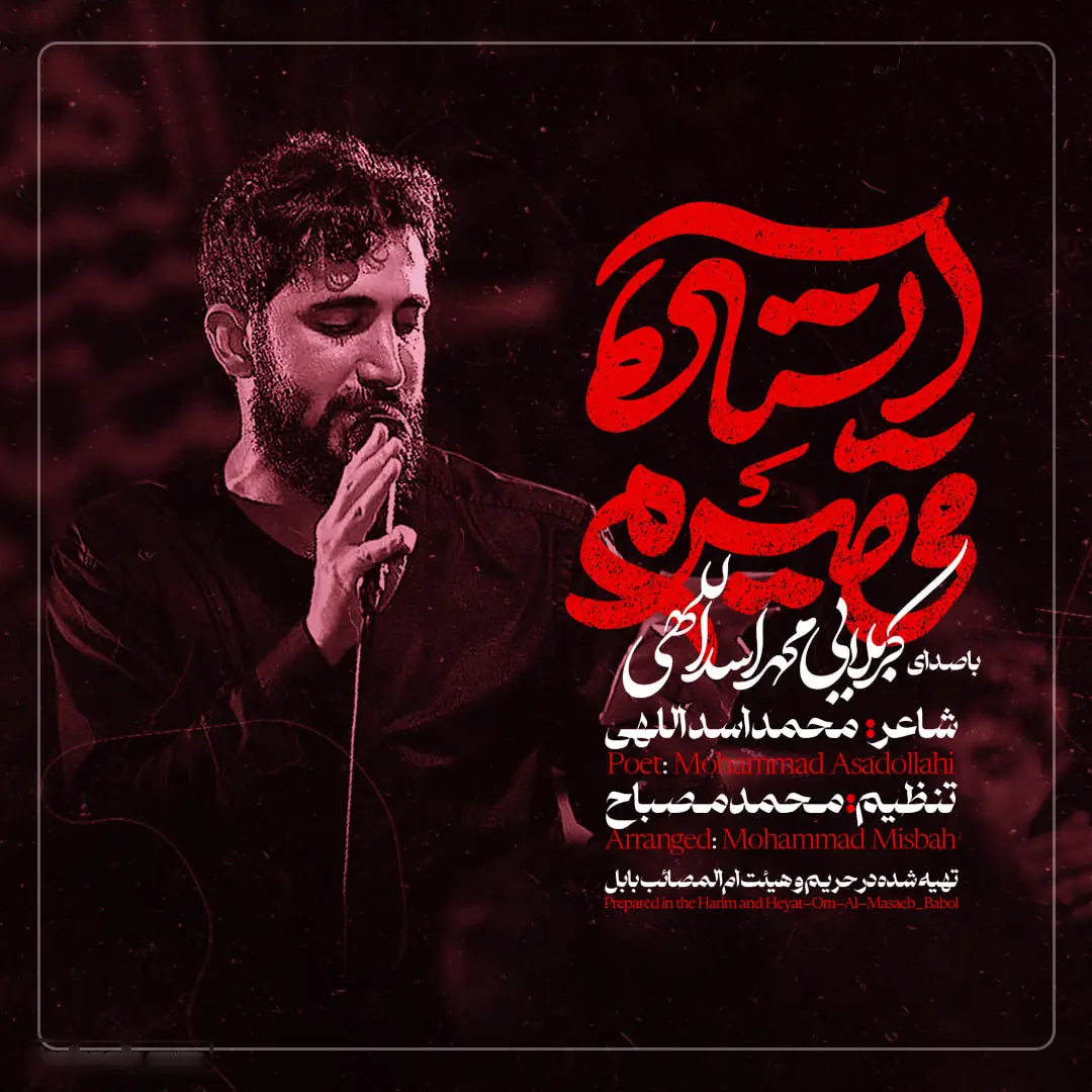 کاور نماهنگ ایستاده می‌میرم - محمد اسداللهی