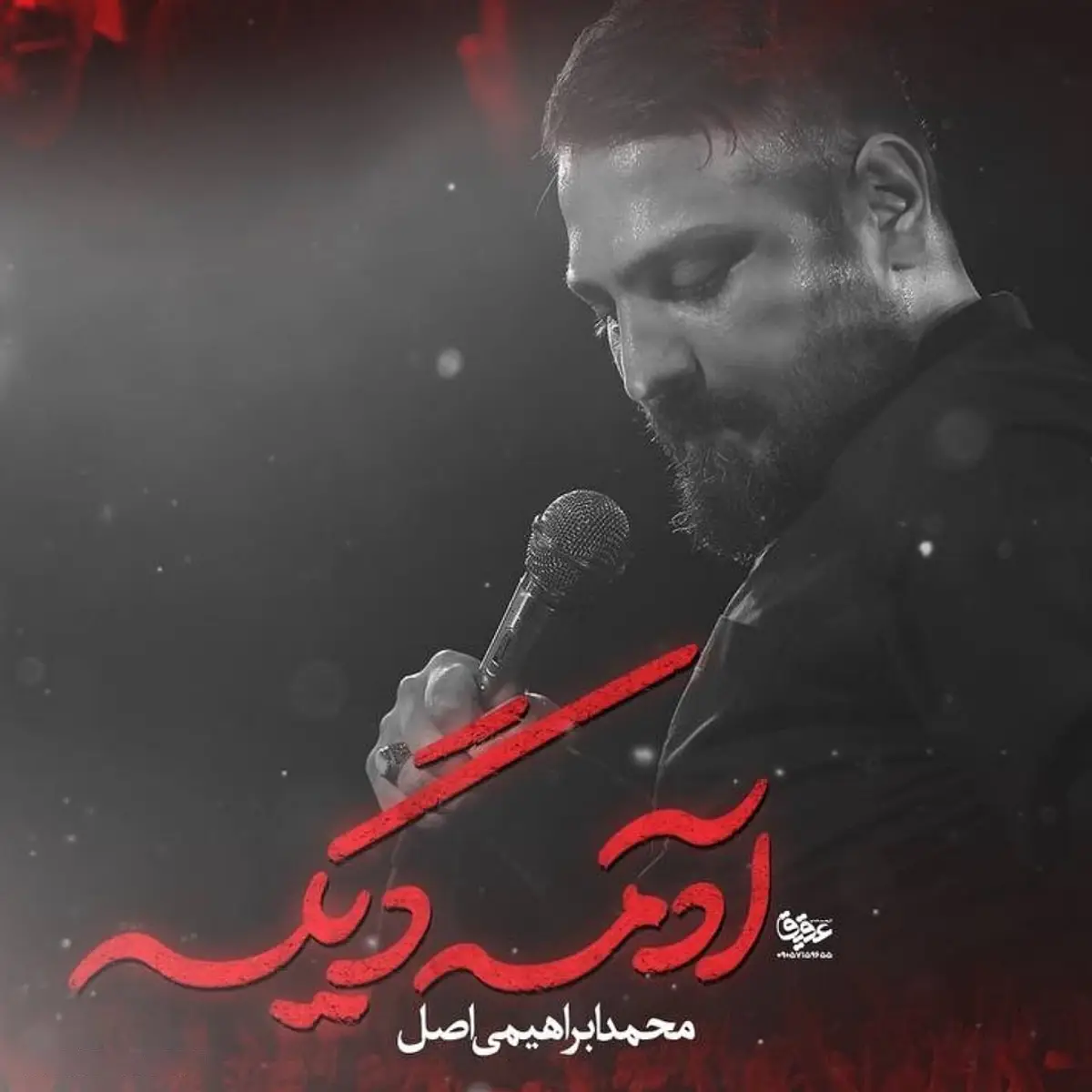 کاور نماهنگ آدمه دیگه - محمد ابراهیمی اصل