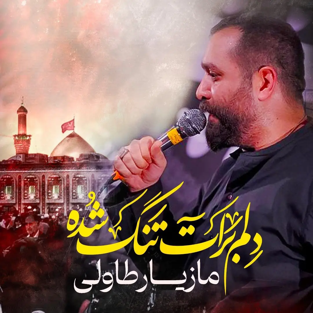 کاور نماهنگ دلم برات تنگ شده - مازیار طاولی