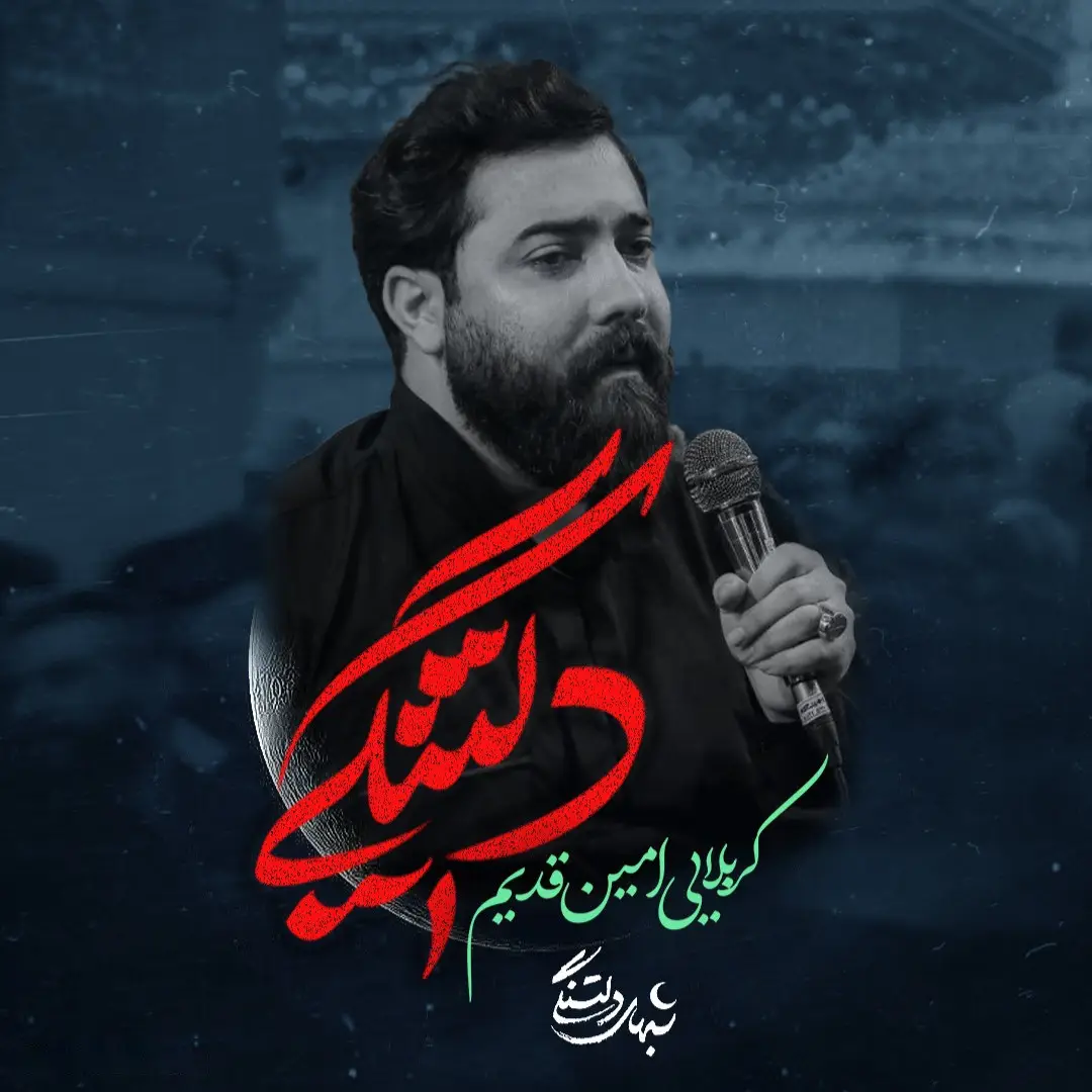 کاور نماهنگ دلتنگی - امین قدیم