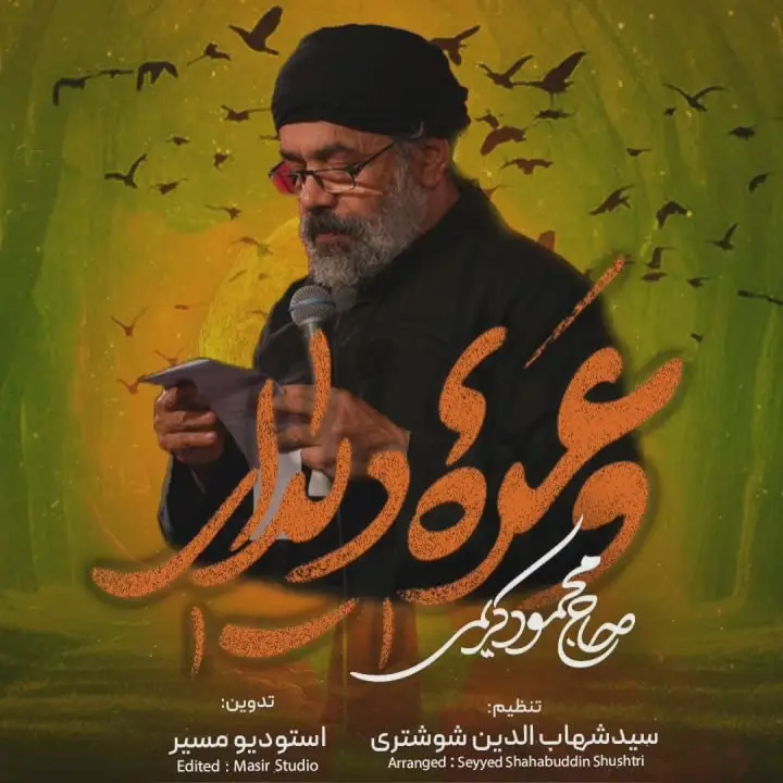 کاور نماهنگ وعدهٔ دیدار - محمود کریمی