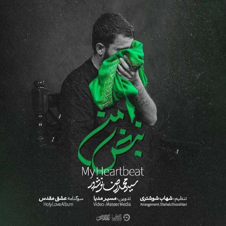 کاور نماهنگ نبض من - سید محمدرضا نوشه ور
