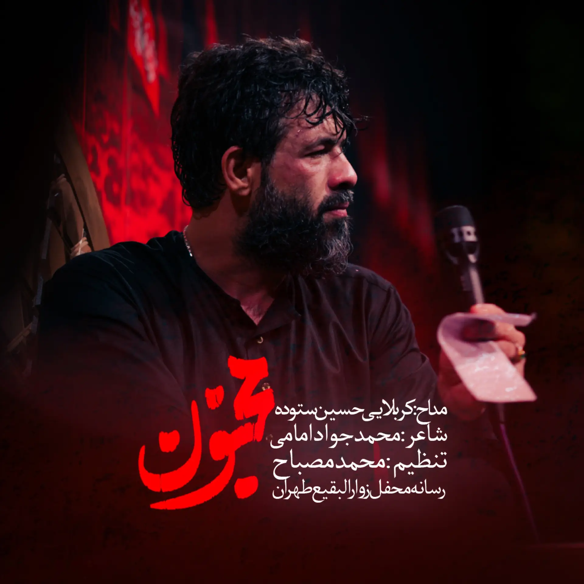 کاور نماهنگ مجنون - حسین ستوده