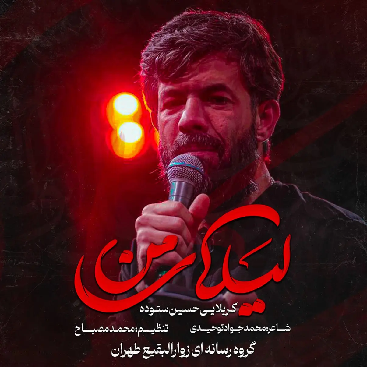 کاور نماهنگ لیلای من - حسین ستوده