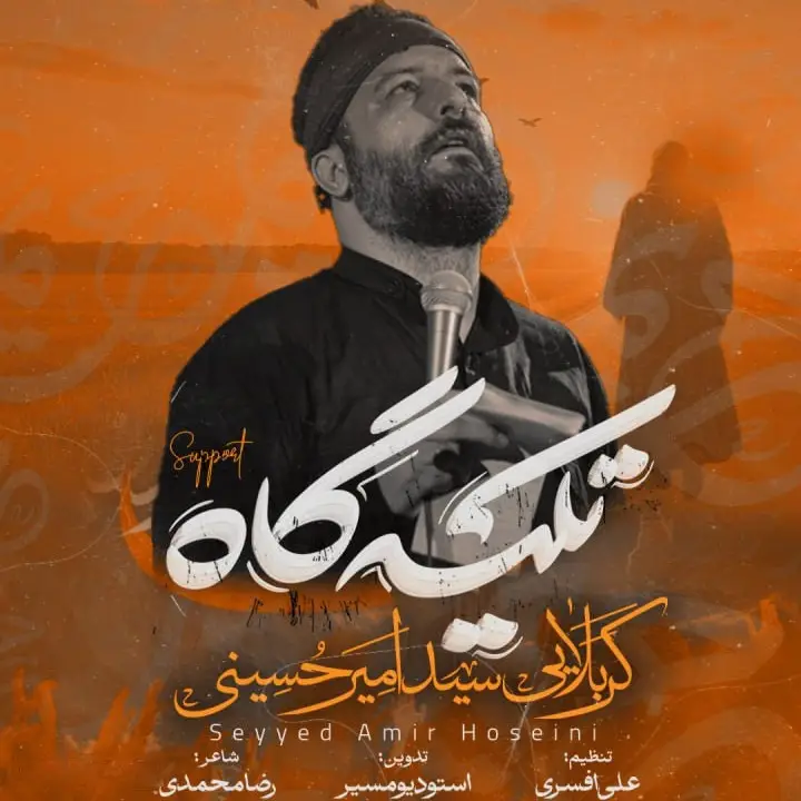 Cover: Music Video The Haven - Seyed amir hoseini