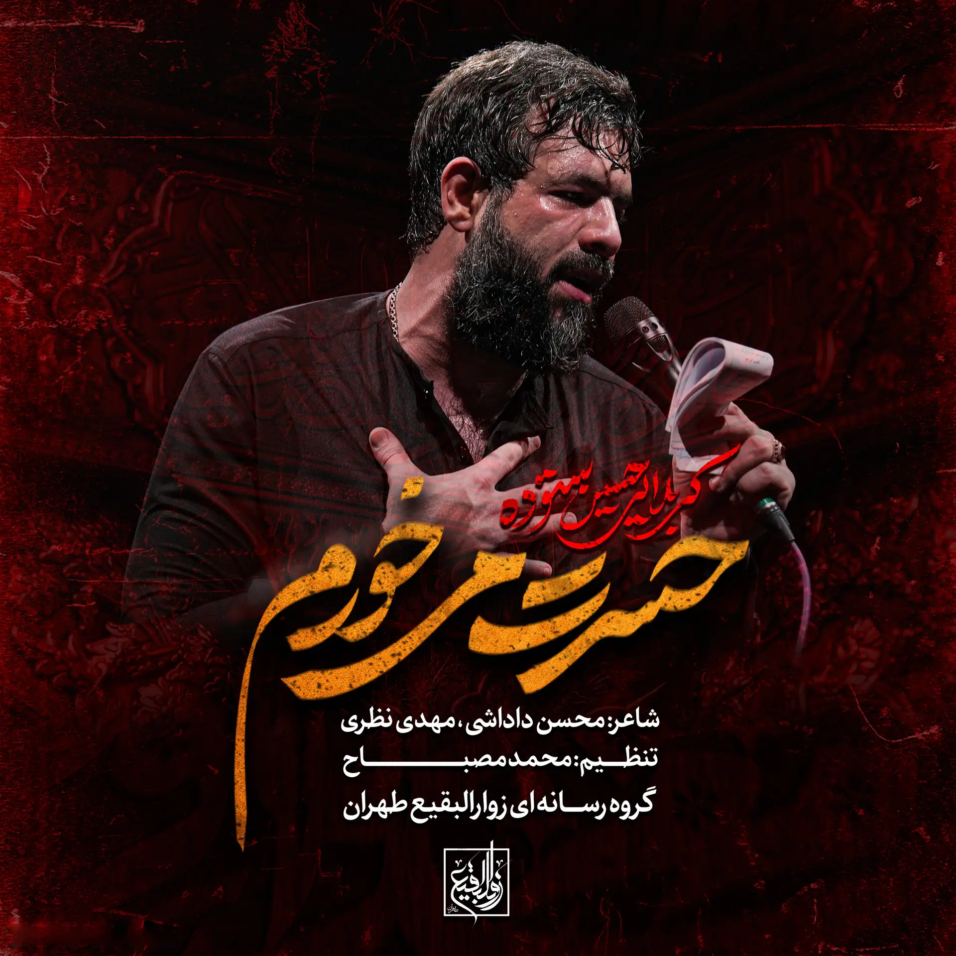 کاور نماهنگ حسرت می‌خورم - حسین ستوده