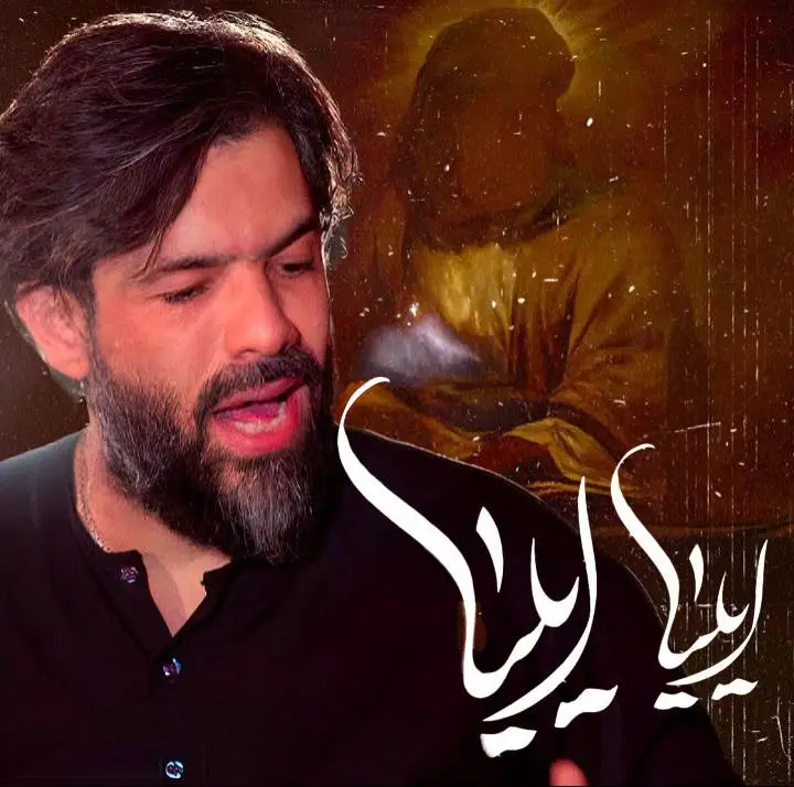 کاور نماهنگ ایلیا ایلیا - حسین ستوده