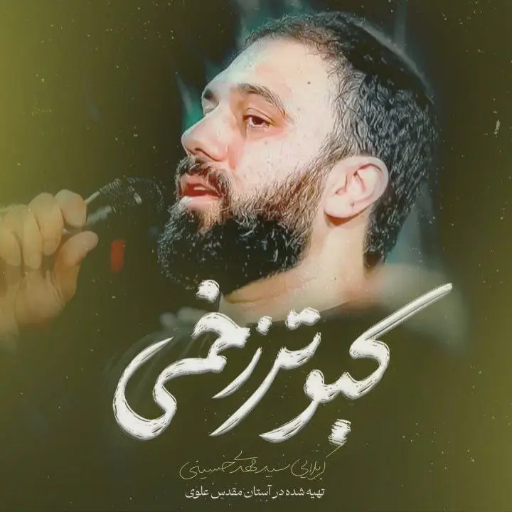 Cover: Music Video Injured Dove - Seyed mahdi hoseini