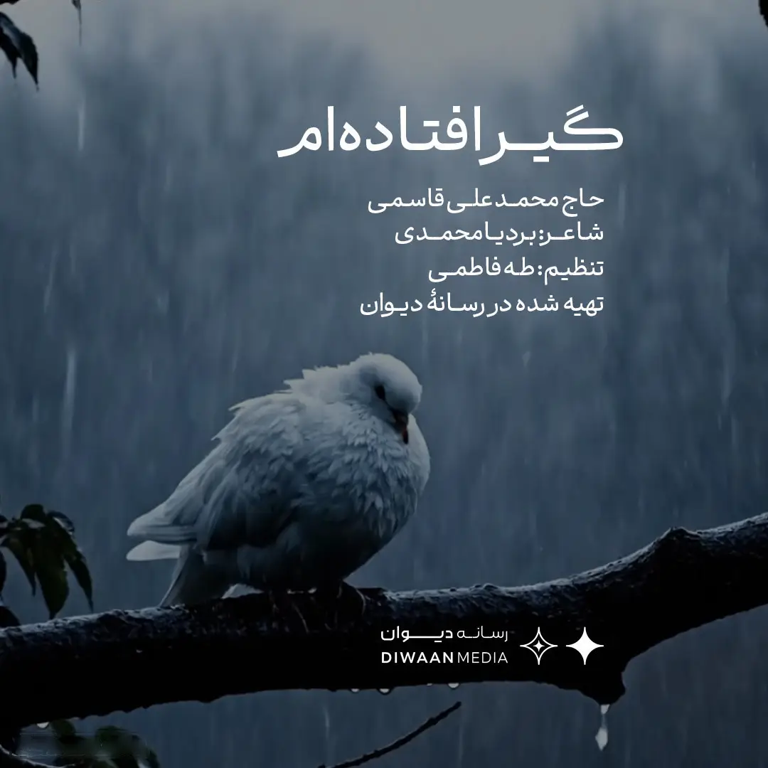 کاور گیر افتادهام از دست گناهان خودم - محمد علی قاسمی