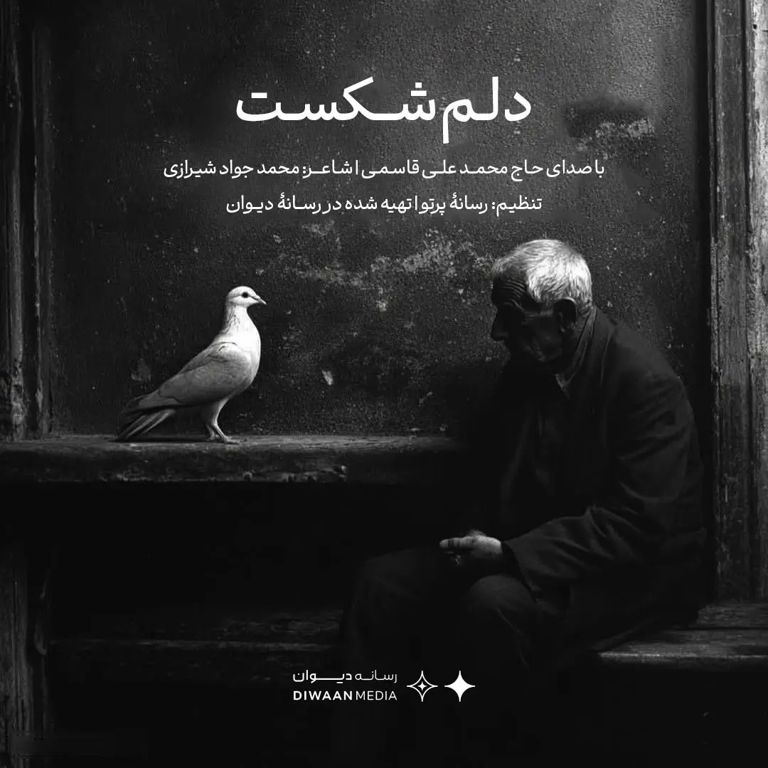 کاور نماهنگ دلم شکست - محمد علی قاسمی