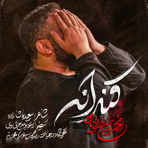 Cover: Swaddle Music Video - Mohamadhosein hadadian