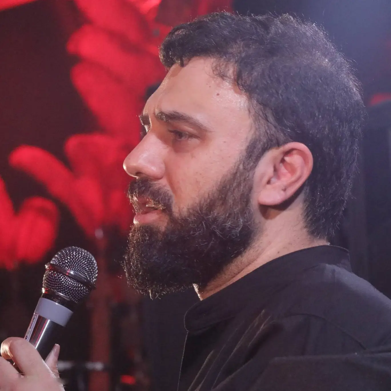 Cover: I Took Stones for You - Seyed mahdi hoseini