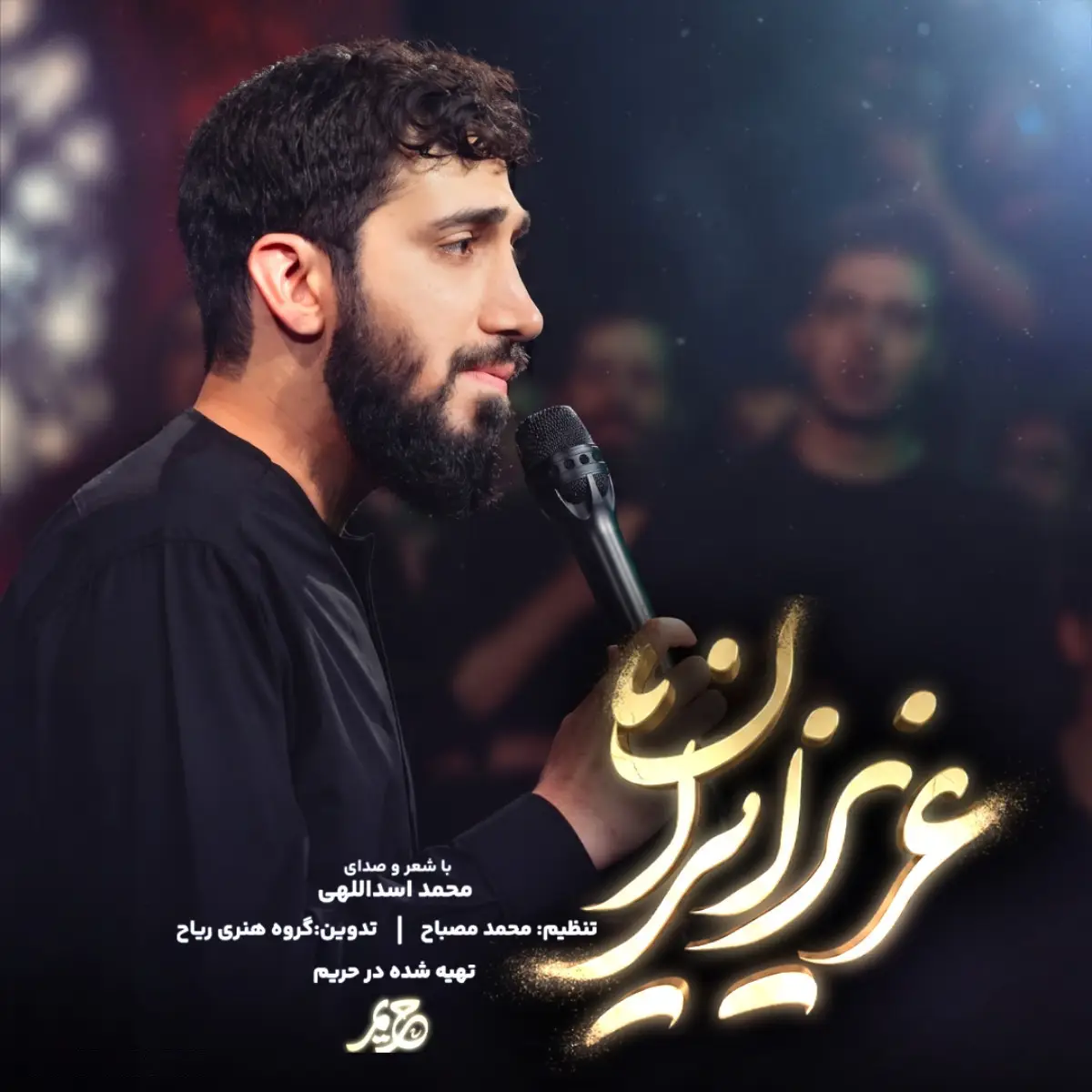 کاور نماهنگ عزیز ایران - محمد اسداللهی