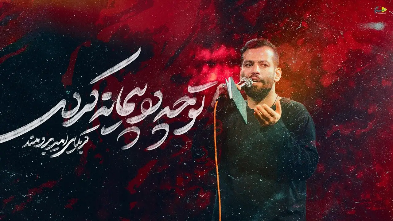 تصویر ویدئوی کلیپ نماهنگ پایدار باشی برقرار باشی - امیر برومند