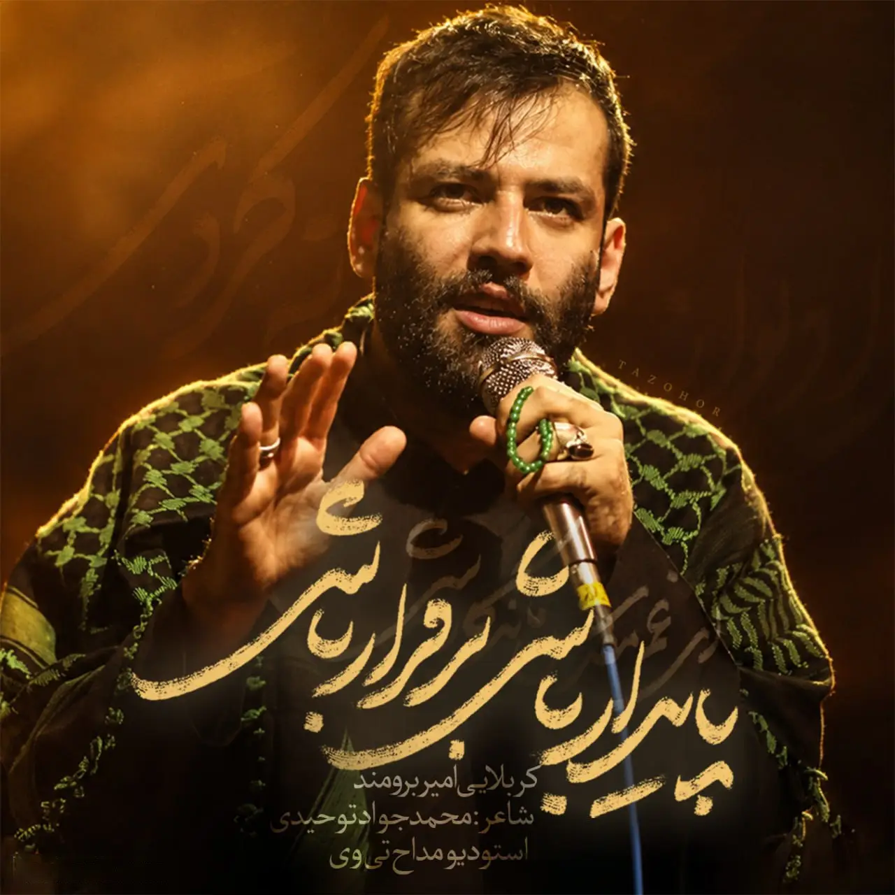 Cover: May You Endure and Flourish - Amir borumand