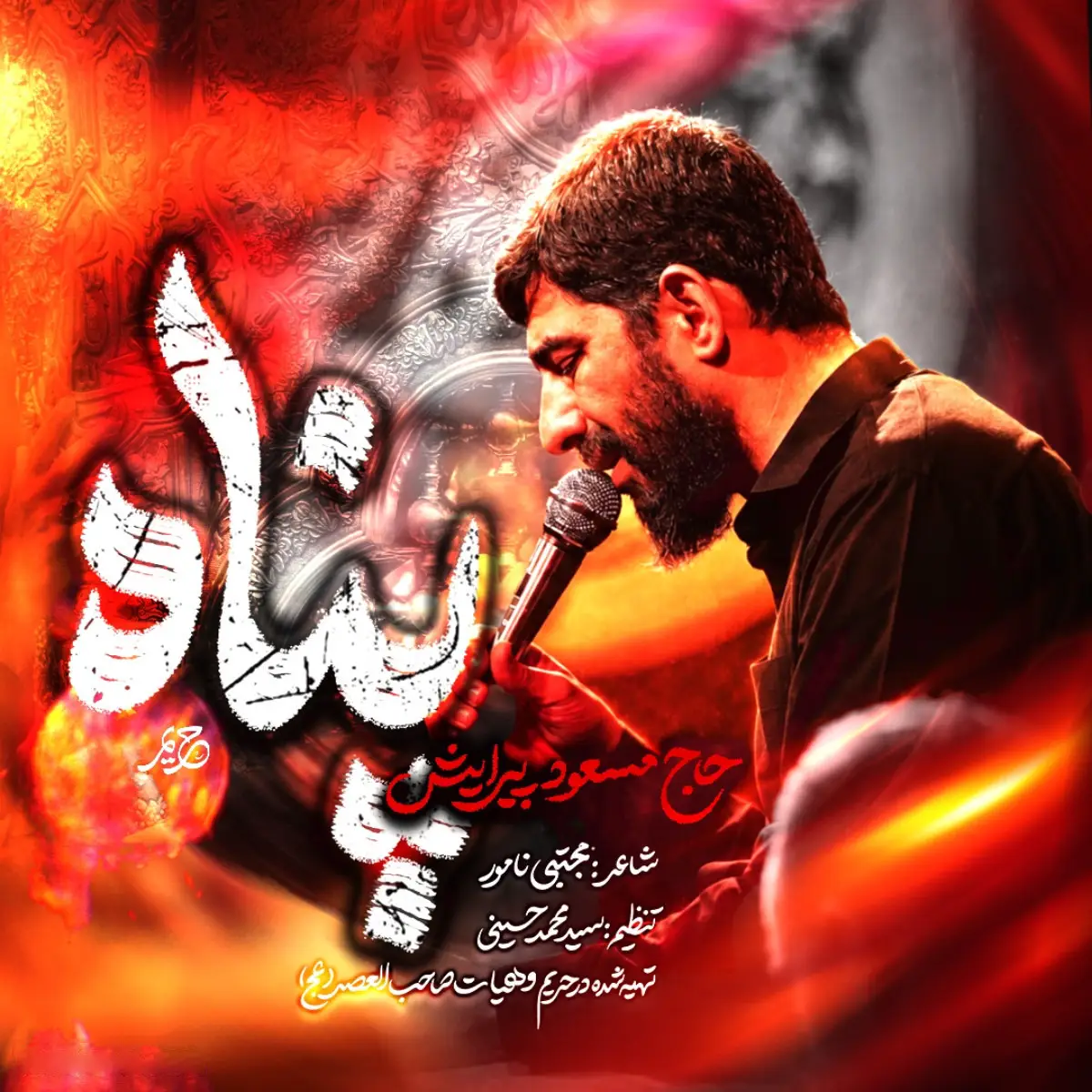 کاور نماهنگ پناه - مسعود پیرایش