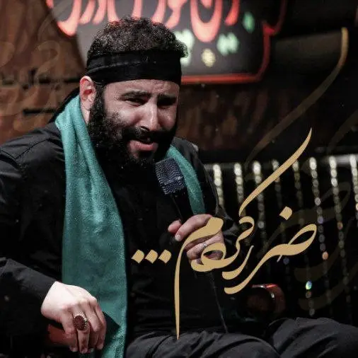 کاور نماهنگ ضرر کردم - سید مهدی میرداماد
