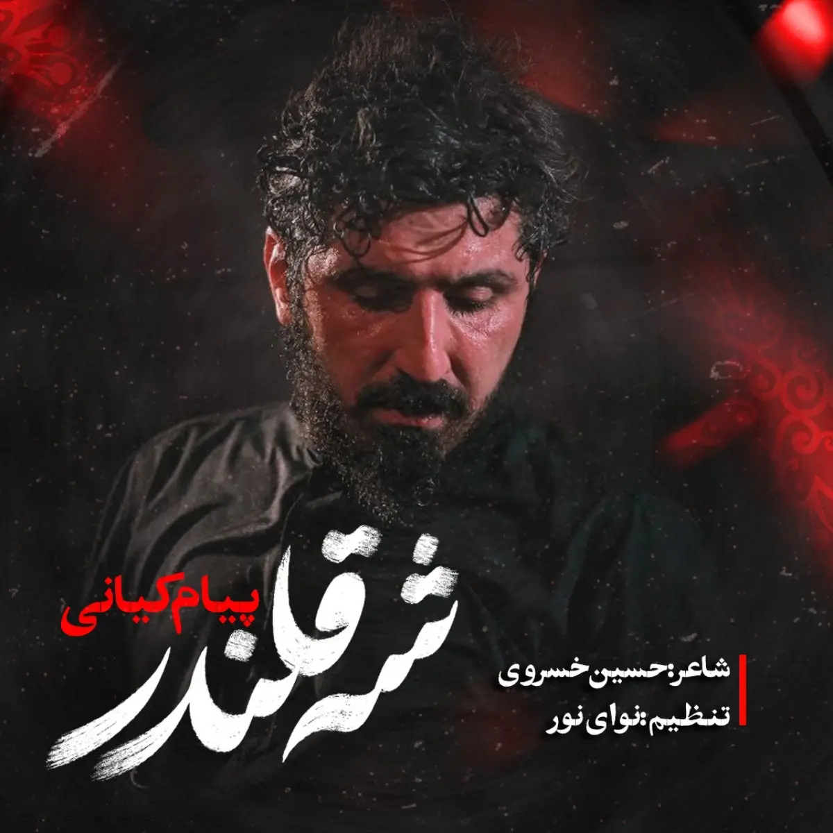 Cover: Music Video King of Dervishes - Payam kiani