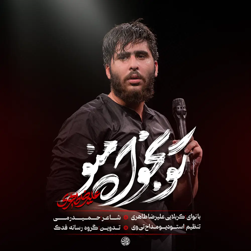 کاور نماهنگ تو بخواه منو - علیرضا طاهری
