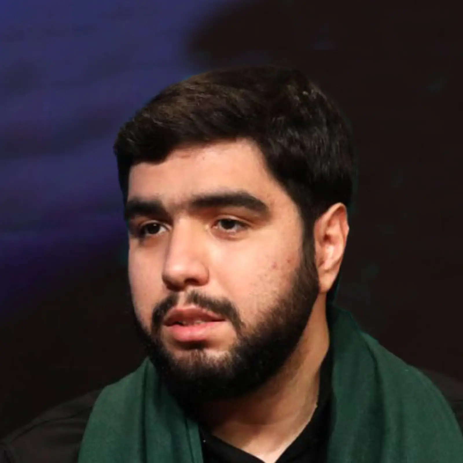 Cover: Aminullah`s Pilgrimage Seyed Mahmoud Alavi - Seyed mahmud alavi