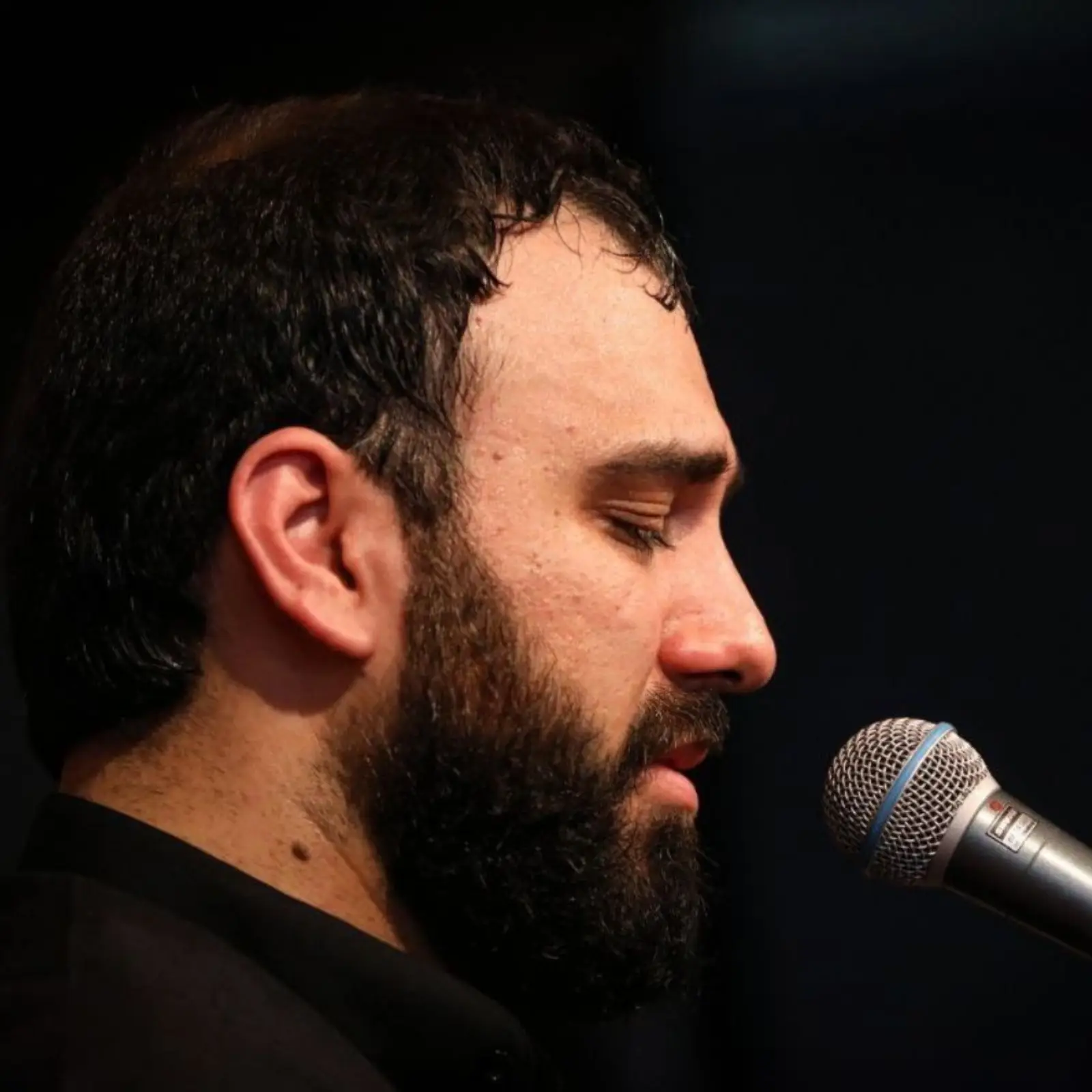 کاور دعای عرفه سید مهدی حسینی